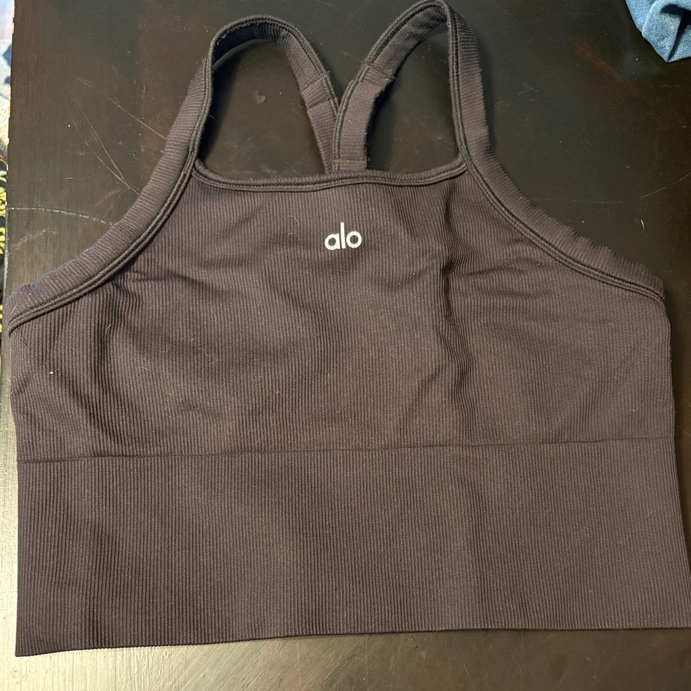 ALO Black Ribbed Sports Bra